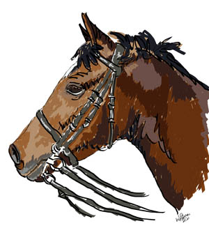 Digitally painted show pony, Lucy